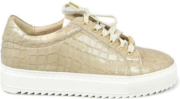 Footnotes 21.001 wijdte h