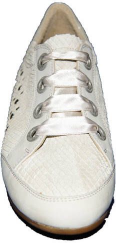 Footnotes 62.006 wijdte g