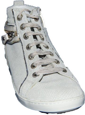 Footnotes 74.022 wijdte k